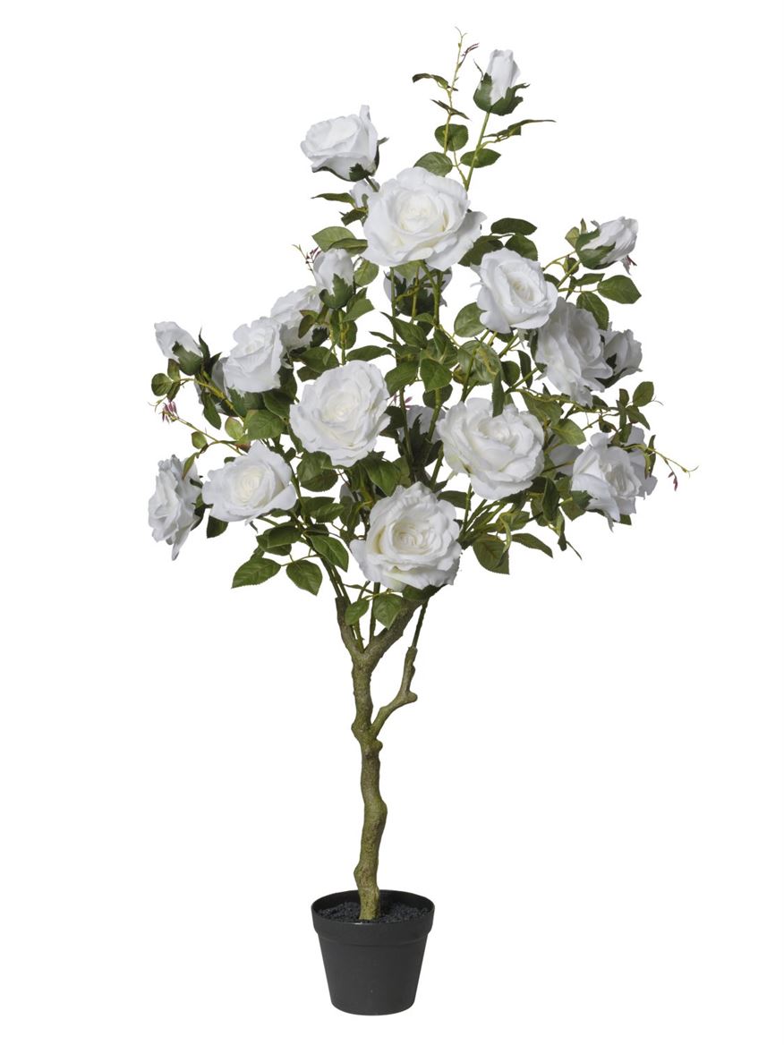 Art. Pianta Rose X27 In Vaso 126cm - White