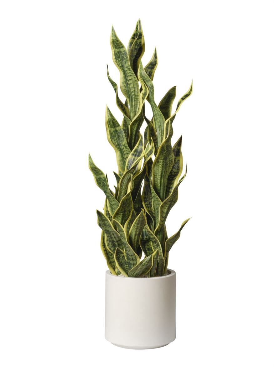 Art. Pianta Sanseveria Cm122 - Yellow Green