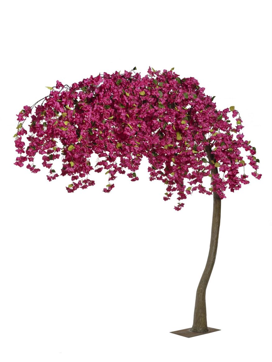 Art. Pianta Struttura Bouganvillea Ad Arco 300cm -