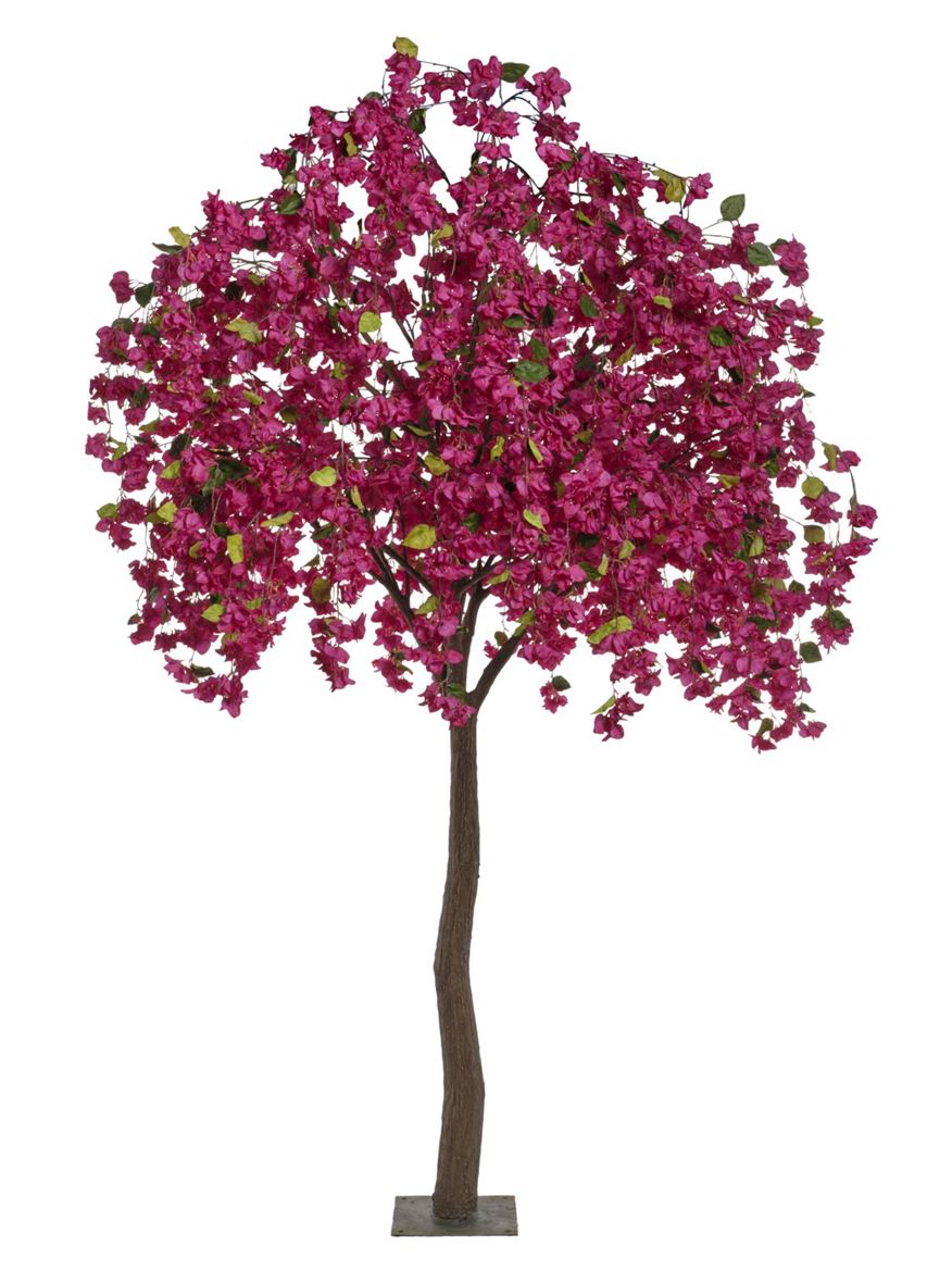 Art. Pianta Struttura Bouganvillea Cm300 - Beauty