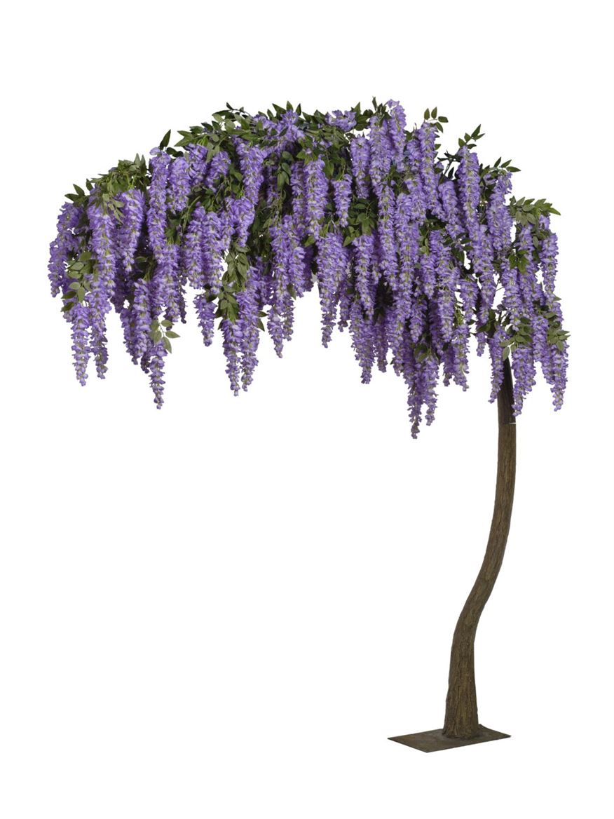 Art. Pianta Struttura Glicine Ad Arco 300cm - Lave