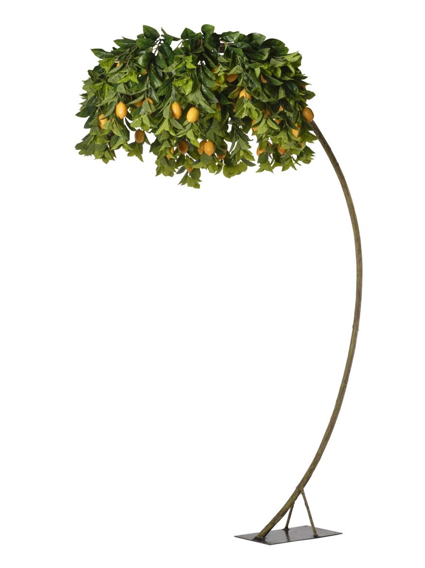 Art. Pianta Struttura Limoni D.170 H.280cm