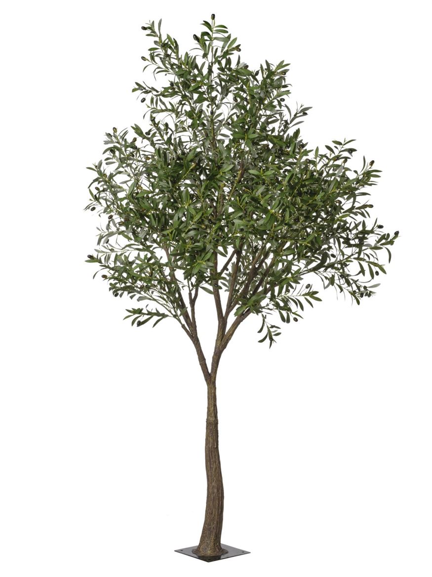 Art. Pianta Struttuta Ulivo H.220cm