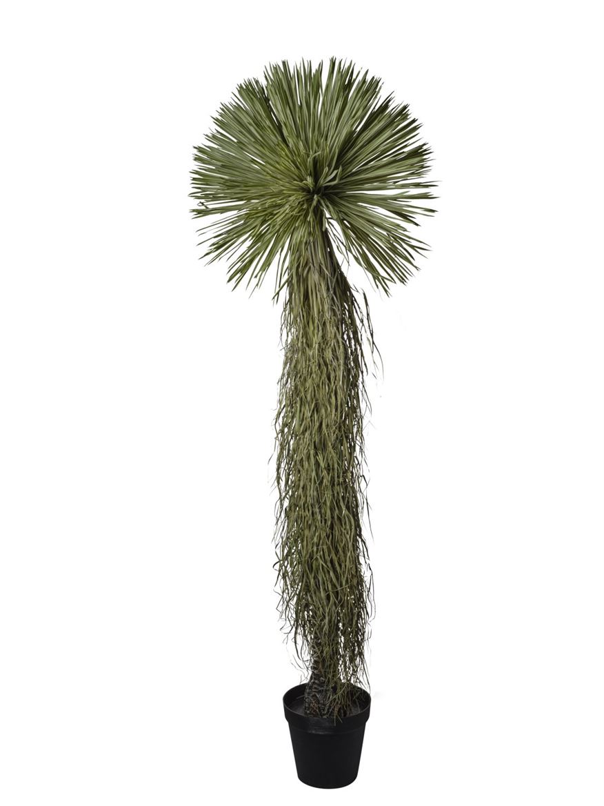 Art. Pianta Yucca 210cm Real Touch
