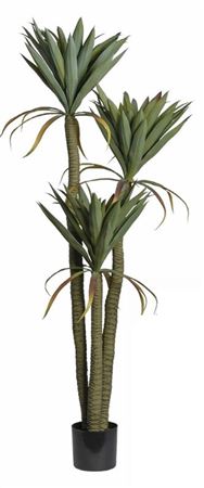 Art. Pianta Yucca In Vaso 160cm
