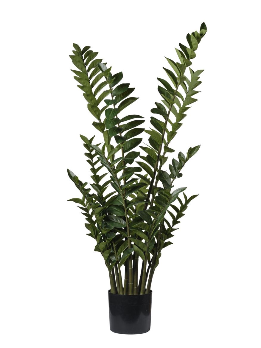 Art. Pianta Zamioculcas 130cm Green