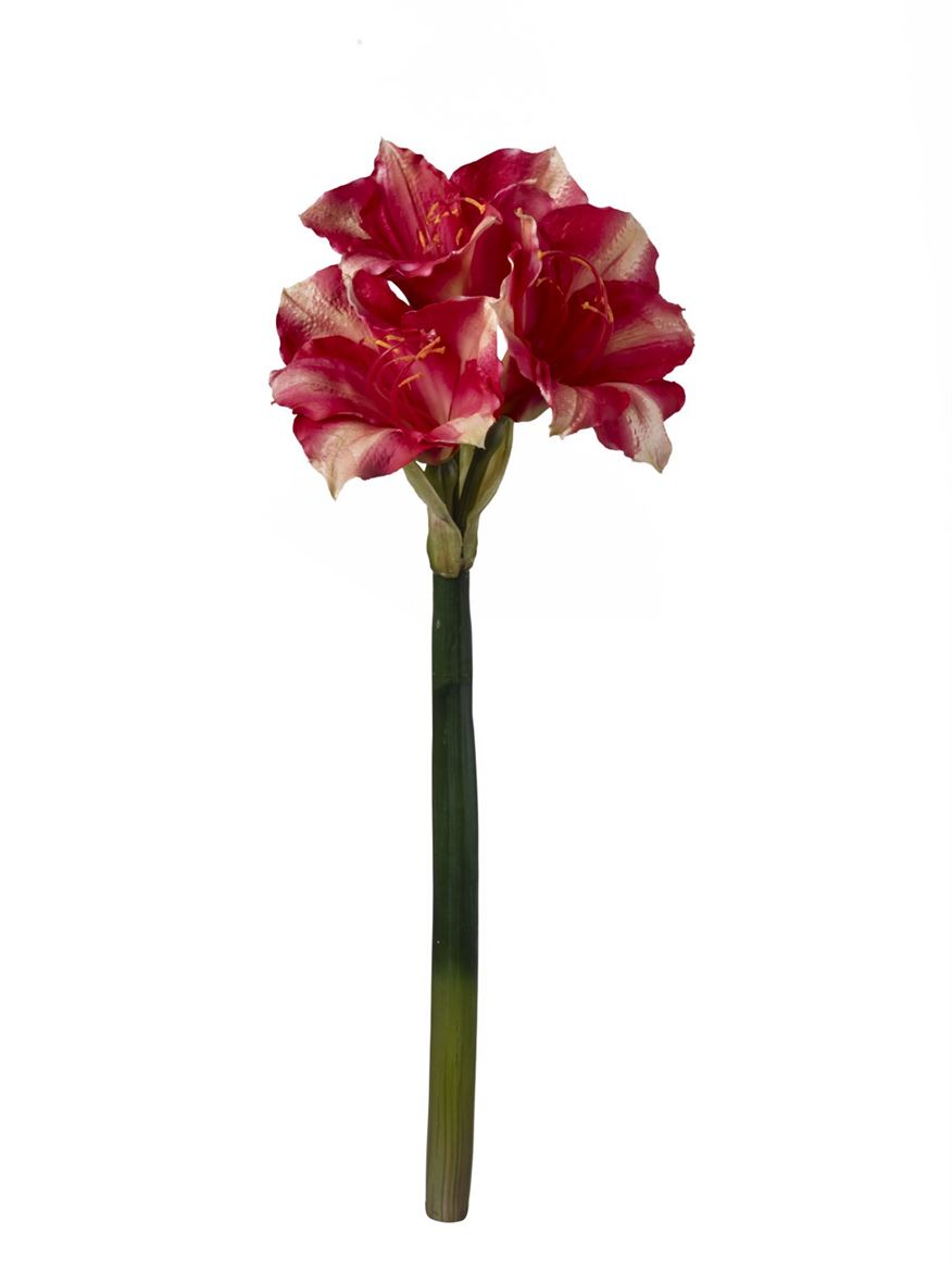 Art. Ramo Amaryllis 20x20x56cm - Coral