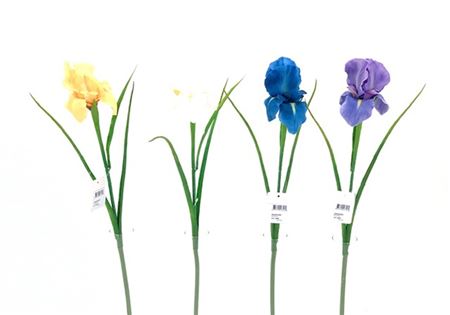 Art. Ramo Iris Spray 60cm - White