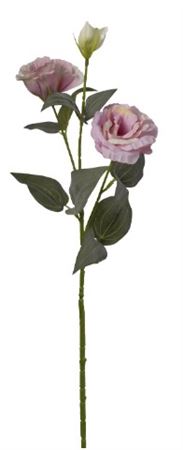 Art. Ramo Lisianthus X2 Cm70 Pink