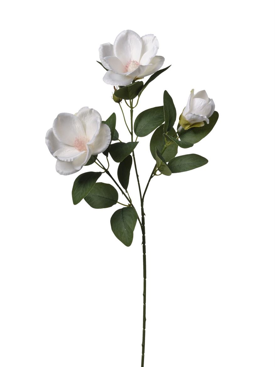 Art. Ramo Magnolia X3 Cm65 Cream