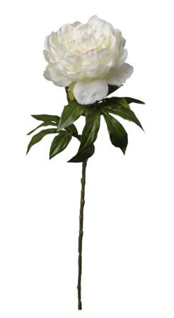 Art. Ramo Peonia Singola Cm60 Cream