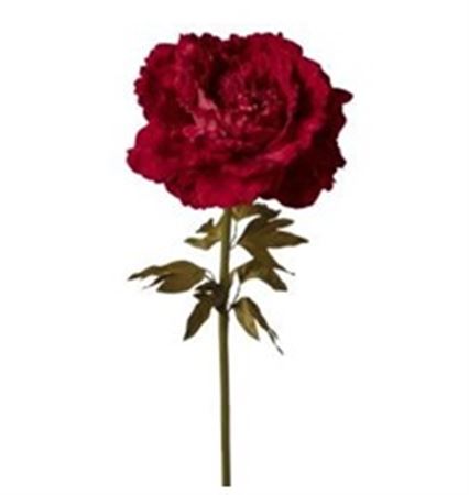 Art. Ramo Peonia Velluto 48x48x130cm - Red