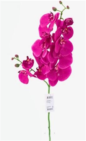 Art. Ramo Phalaenopsis Orchid X2 85cm - Beauty