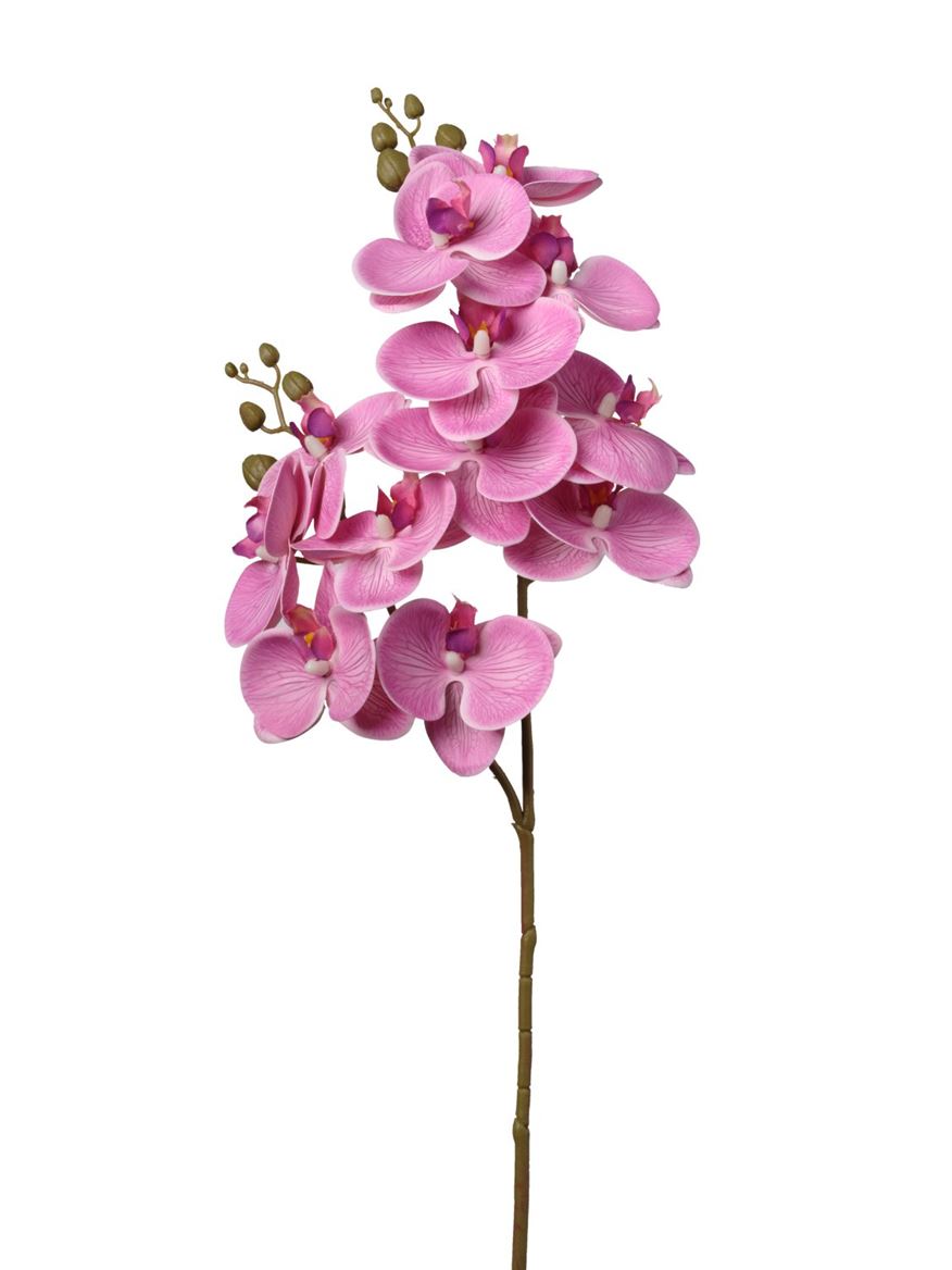 Art. Ramo Phalaeonopsis X12 16x74cm - Pink