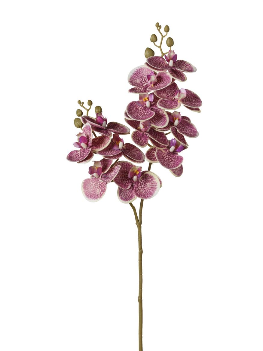 Art. Ramo Phalaeonopsis X12 16x74cm - Purple