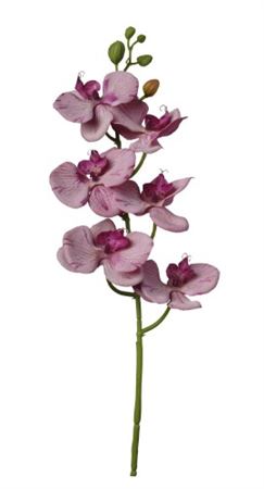 Art. Ramo Phaleonopsis Cm69 Dk. Pink