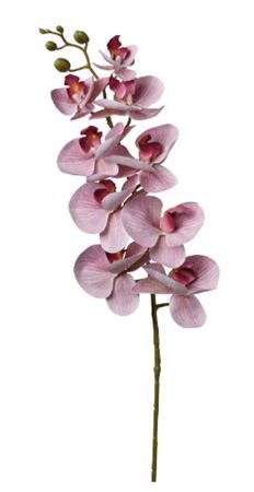 Art. Ramo Phaleonopsis X9 Cm94 Lavender