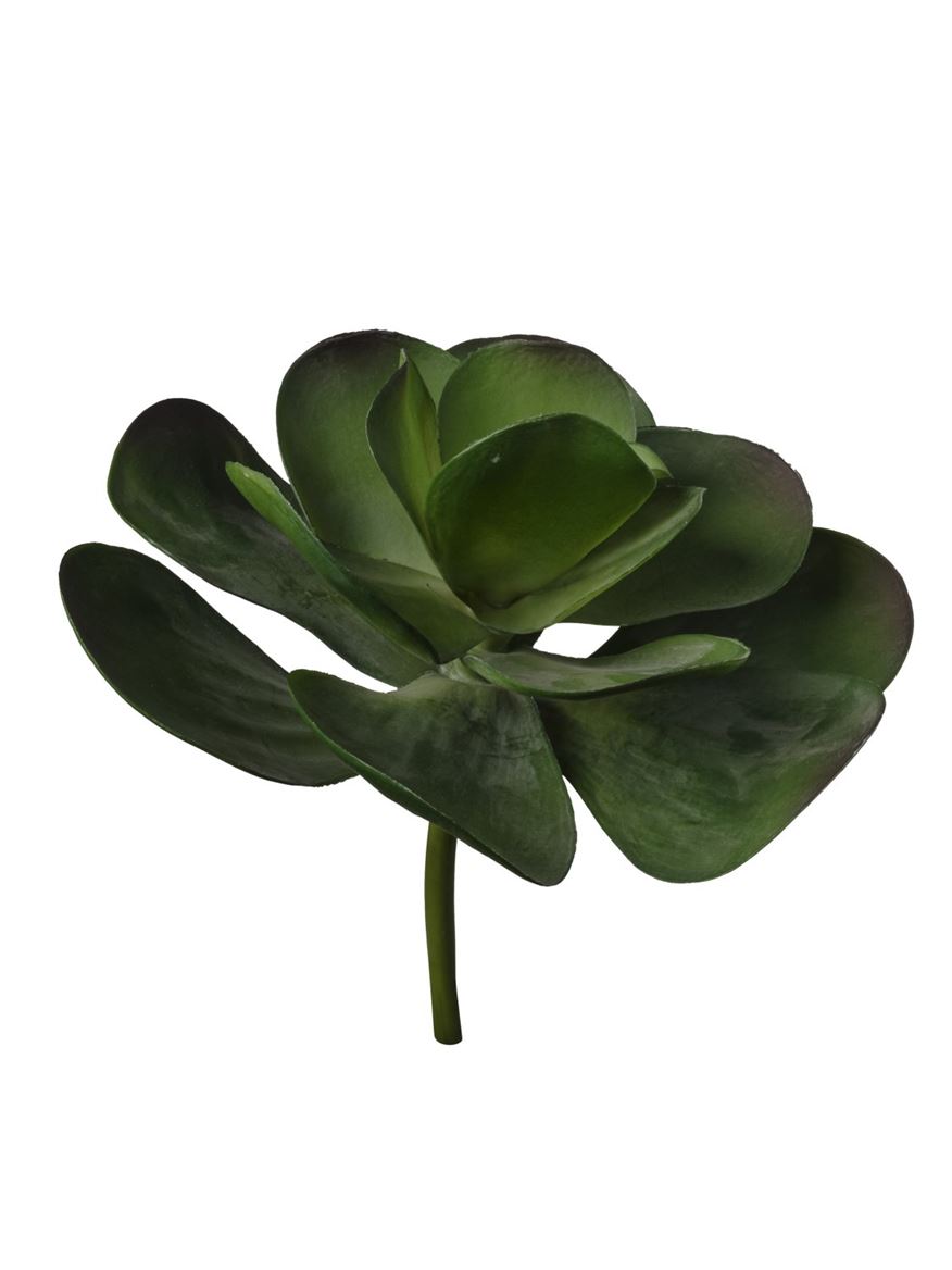 Art. Ramo Pianta Grassa Cm32 - Green