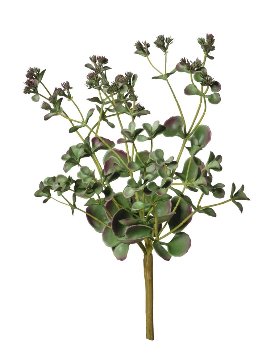 Art. Ramo Pianta Grassa Sg 35 Cm - Green Burgundy