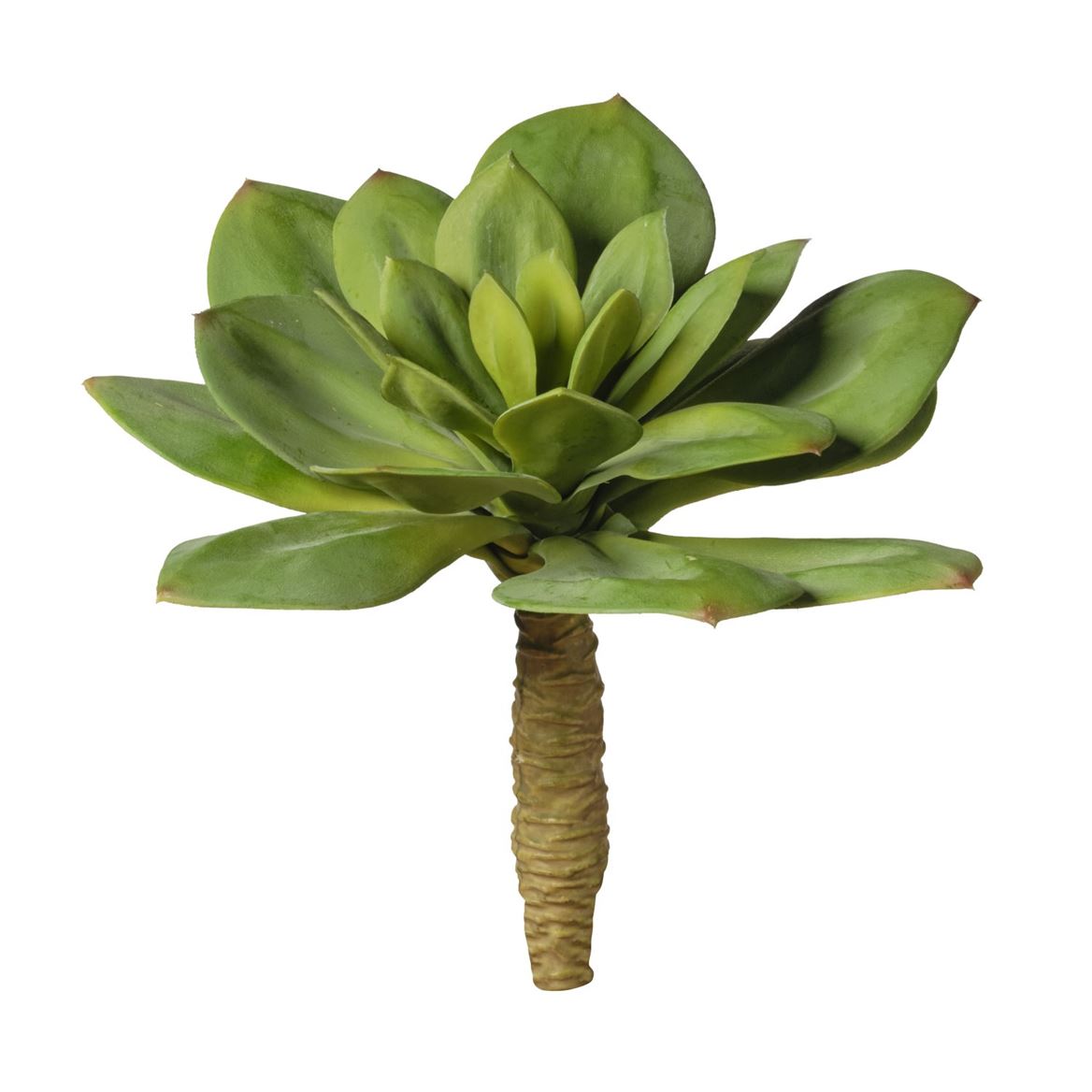 Art. Ramo Pianta Grassa Sg. Cm 22 - Green
