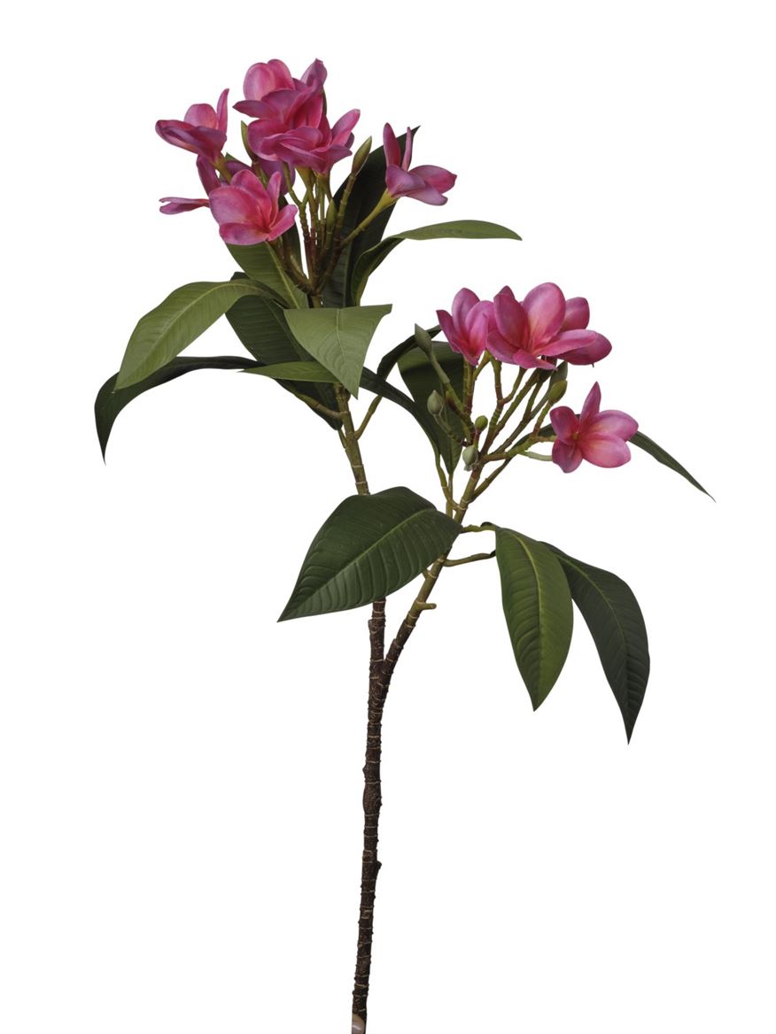 Art. Ramo Plumeria 86cm - Cerise (helio)