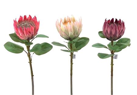Art. Ramo Protea 69cm - Peach Green