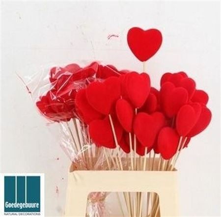 Cuore Su Stelo