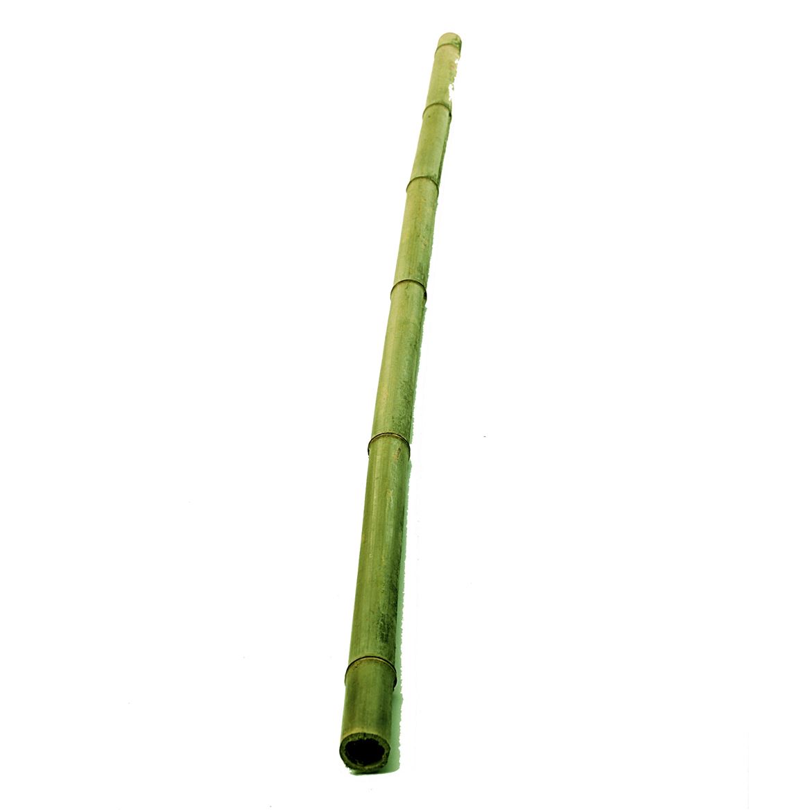 Deco. Bamboo 125cm D.4/6cm Verde Oliva