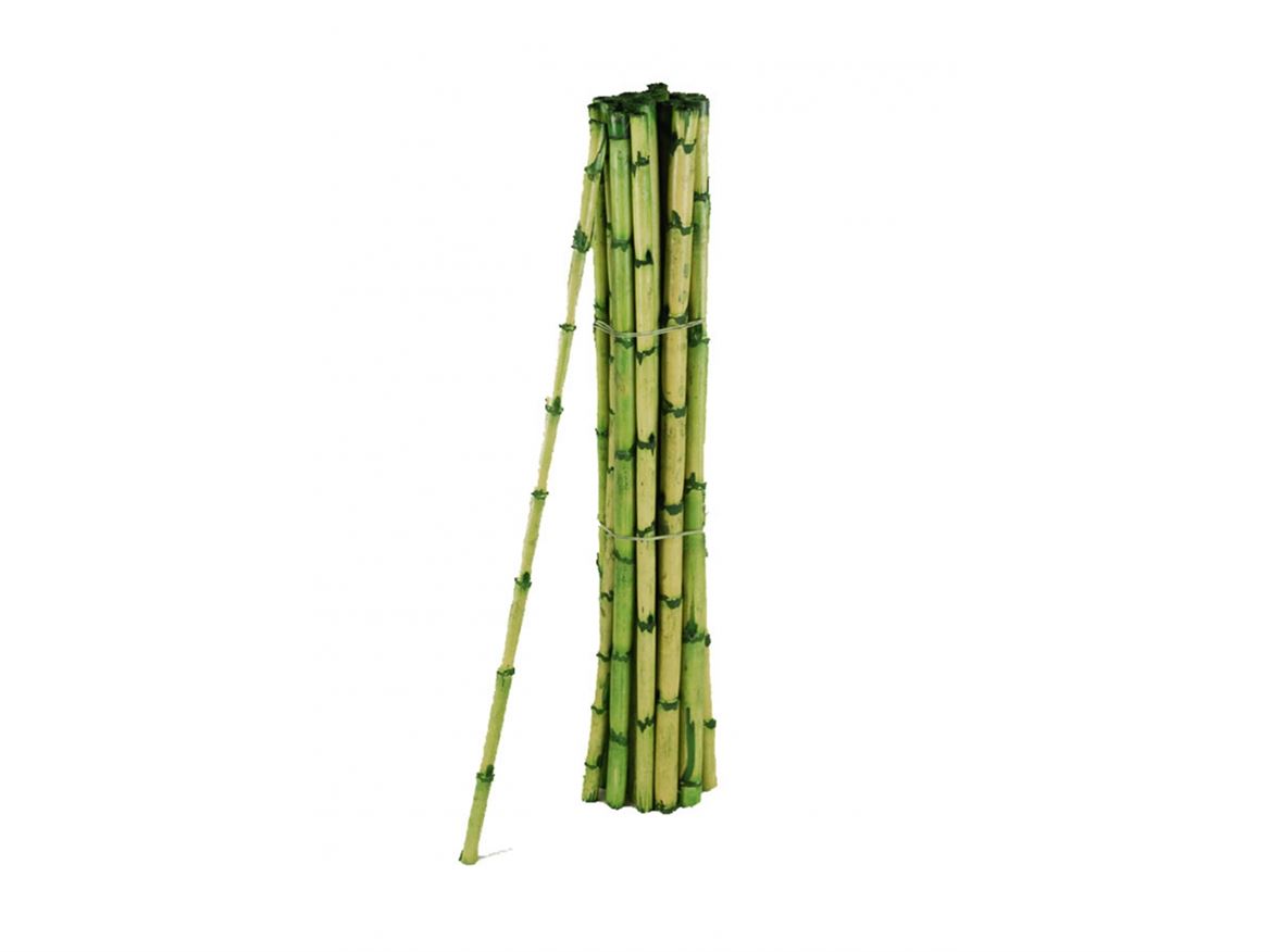 Deco. Bamboo Colorate 200cm 10pz - Verde Oliva