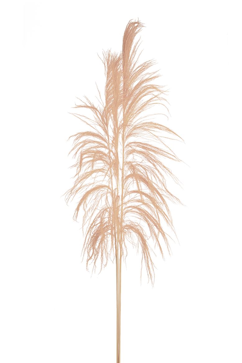 Deco. Cana Brava 200cm Sbiancata