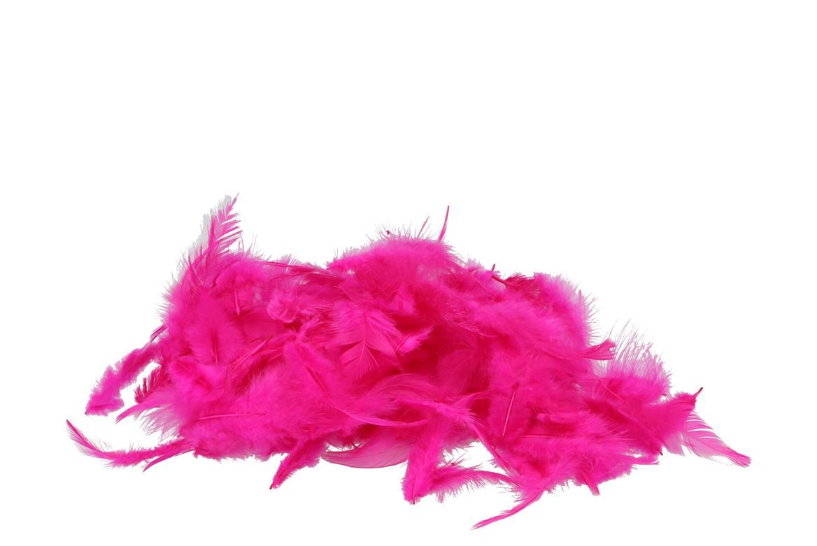 Deco. Confezione Piume Fuchsia 20 Gram
