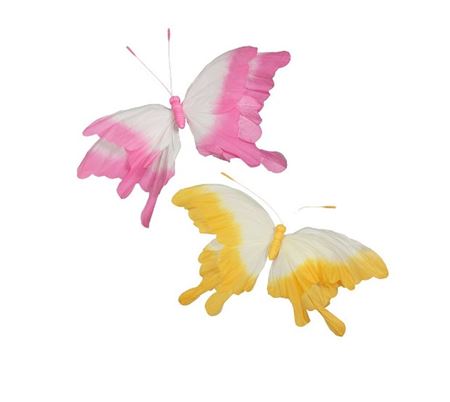 Deco. Farfalla Sfumata 2col. In Carta D.130cm