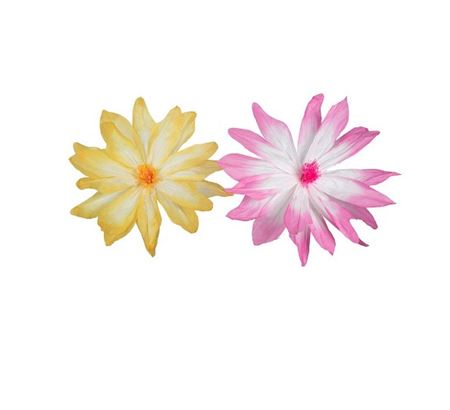 Deco. Fiori Sfumati 2 Col. In Carta D.70cm