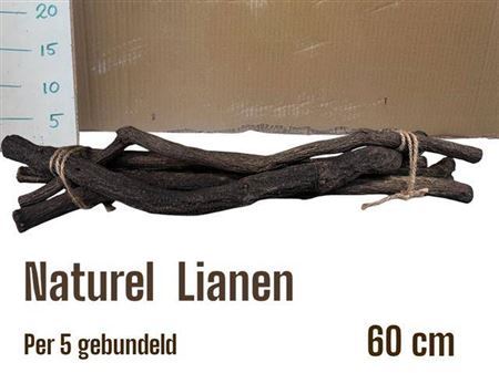 Dried Flow. Liane Naturali
