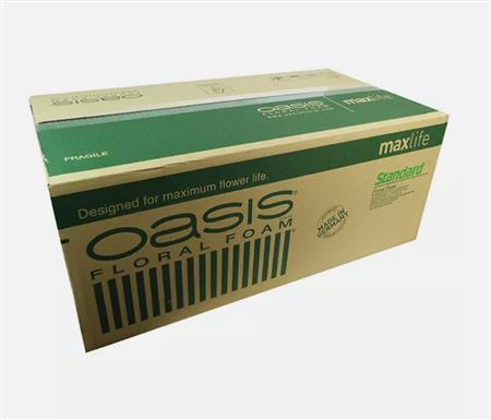 Flory. Spugne. Oasis Maxlife Standard - X35pz