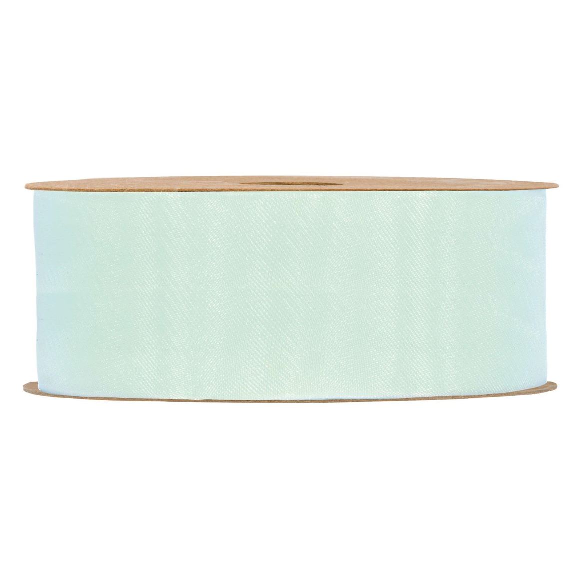 Nastri. Organza Matt Mm40x20m - Sea Water