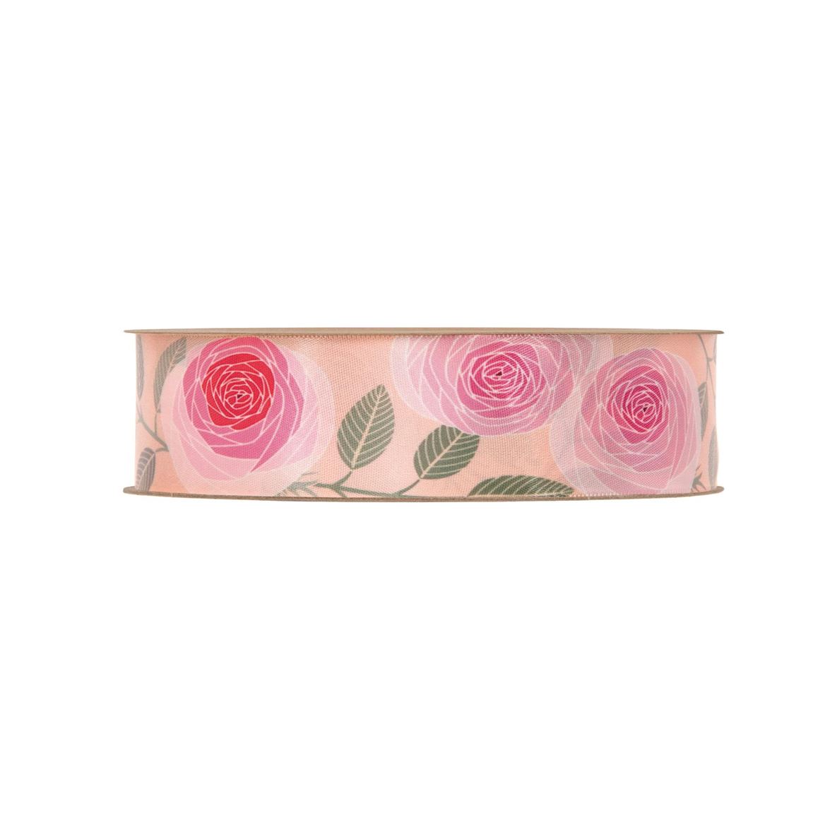 Nastri. Rpet Romantic Roses Mm25 X 15m - Peach