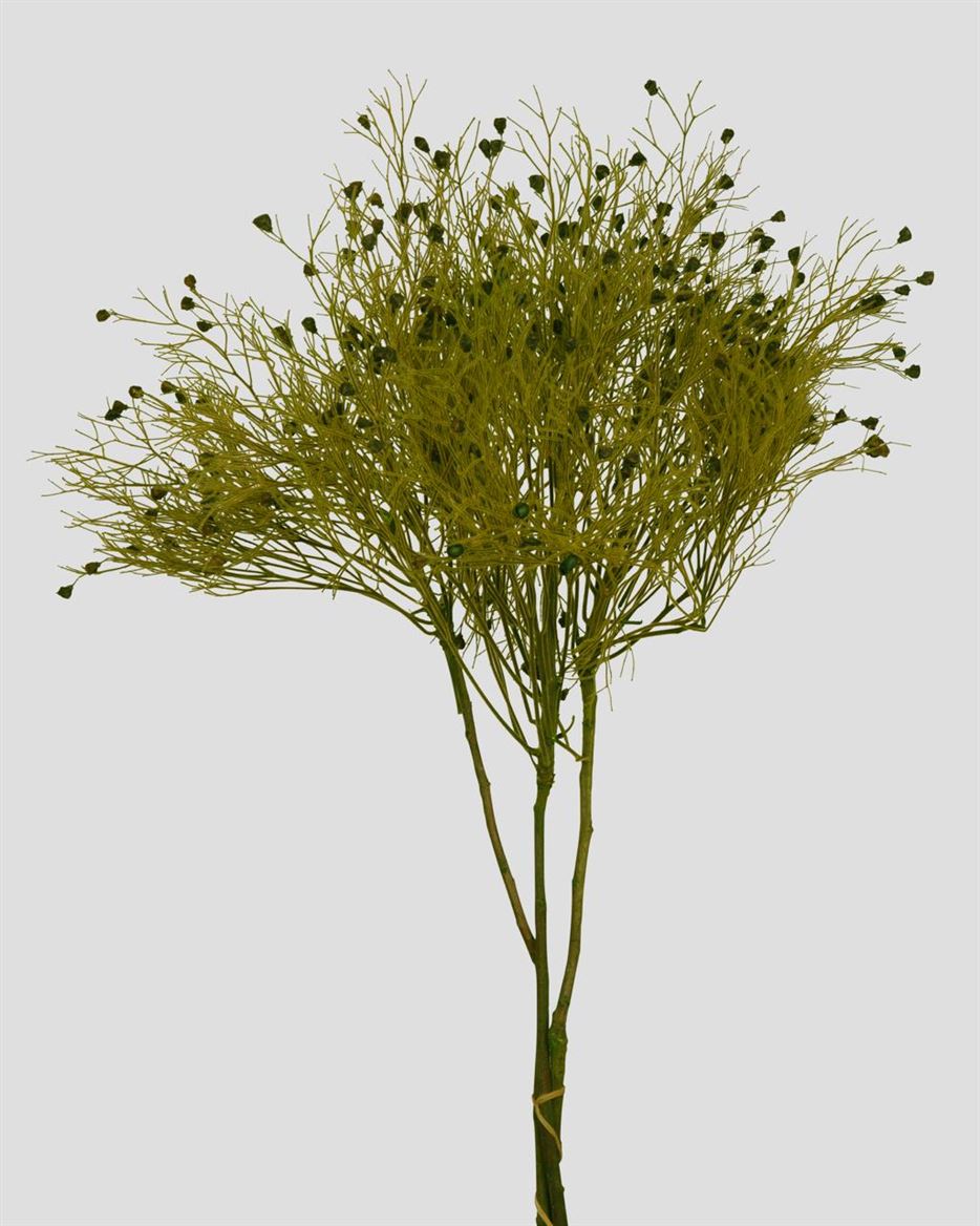 Preserved Dream Grass Light Green