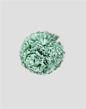 Preserved Garofano 8pz - Dusty Green