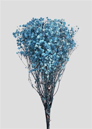 Preserved Gypsophila Light Blue