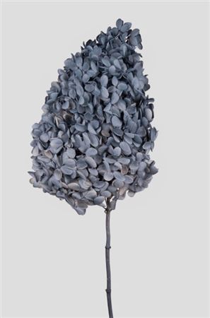 Preserved Hydrangea Peegee - Grey Blue