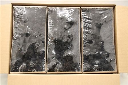 Preserved Muschio Iceland Paint Black