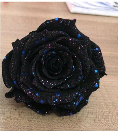 Preserved Rosa Ll Galaxy Bla