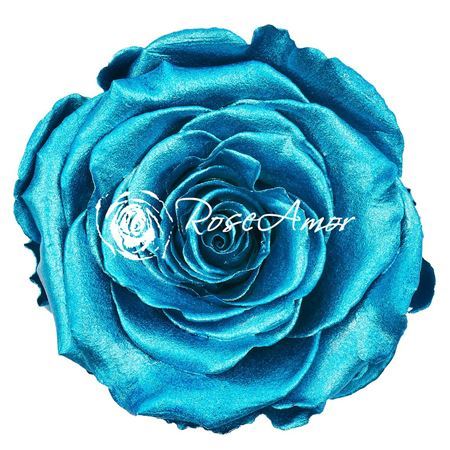 Preserved Rosa Ll Metallic 4 Blue 01