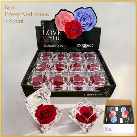 Preserved Roses In Clear Box +scent - Red