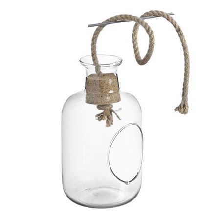 Terrarium. Bottiglia Con Buco H24.5 D14cm