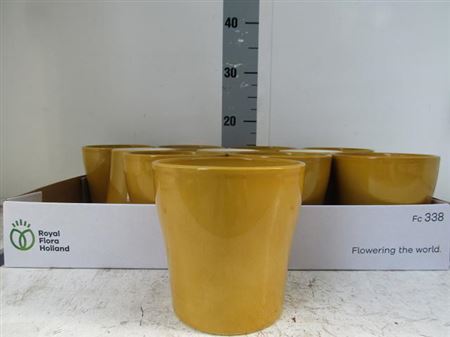 Vasi Ceramica. Gold D.13.5 H.13.5cm