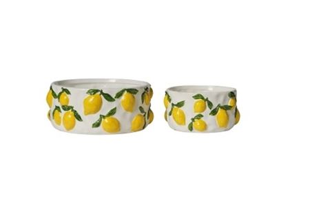 Vasi Ceramica. Limoni 2pz - 24x10-18x9cm Lucido