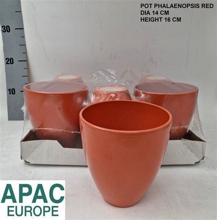 Vasi Ceramica. Phalaenopsis D14 H16cm - Orange