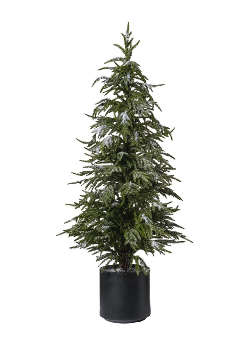 Xmas. Albero Pino Con Neve H.127 Cm